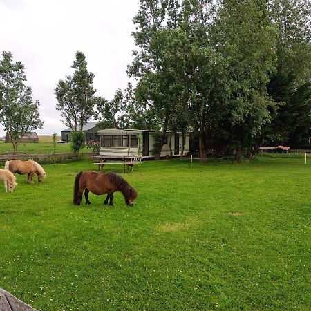 De Boerenskuur..Chalet.. Assendelft Экстерьер фото